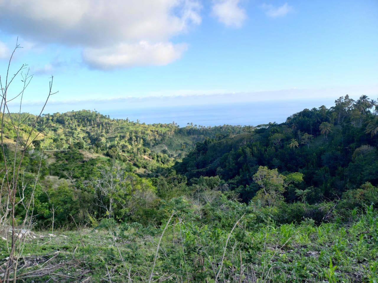 Lamontagne, entre résilience communautaire et défis structurels