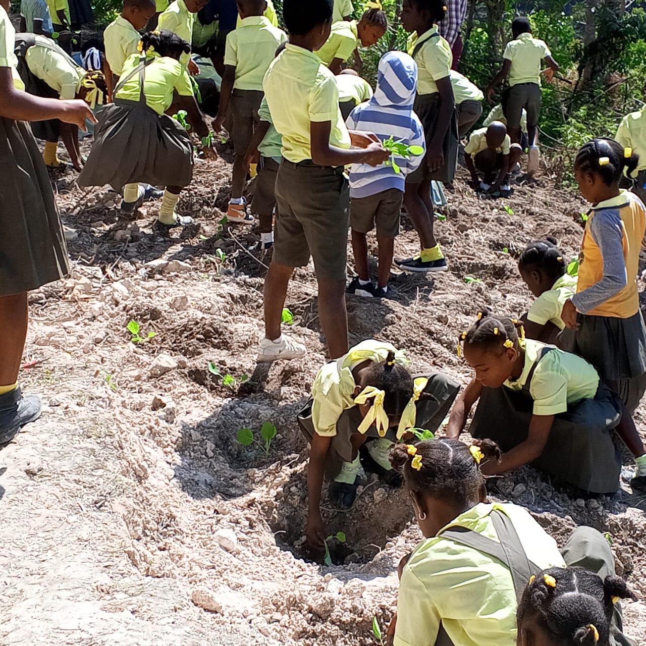 Éducation et agriculture au cœur de la communauté