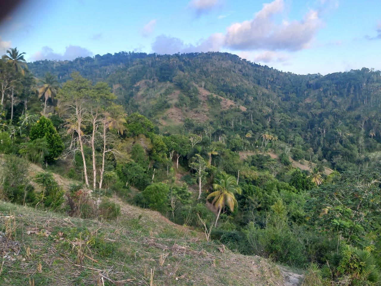 Paysage rural de Lamontagne