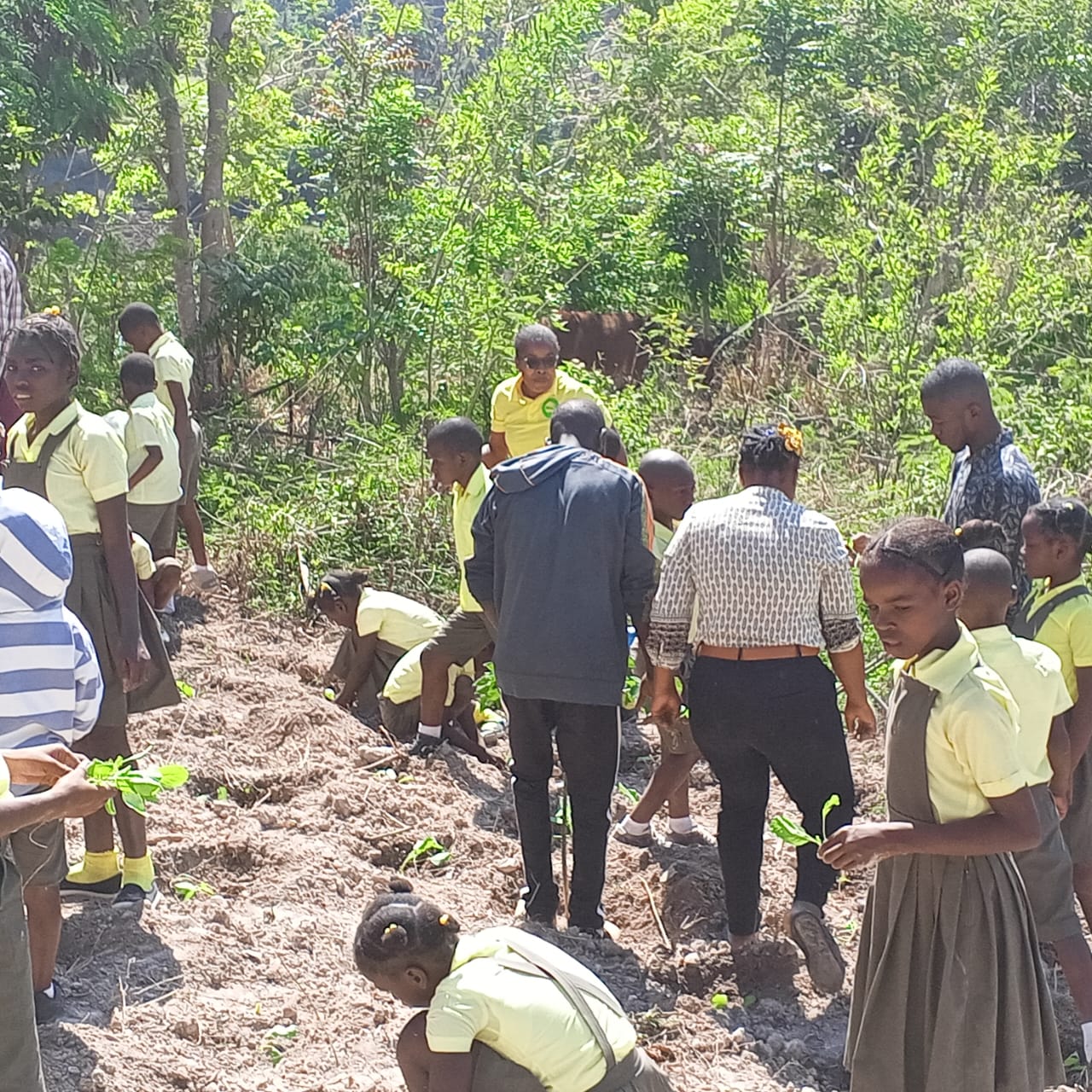 Éducation et agriculture au cœur de la communauté